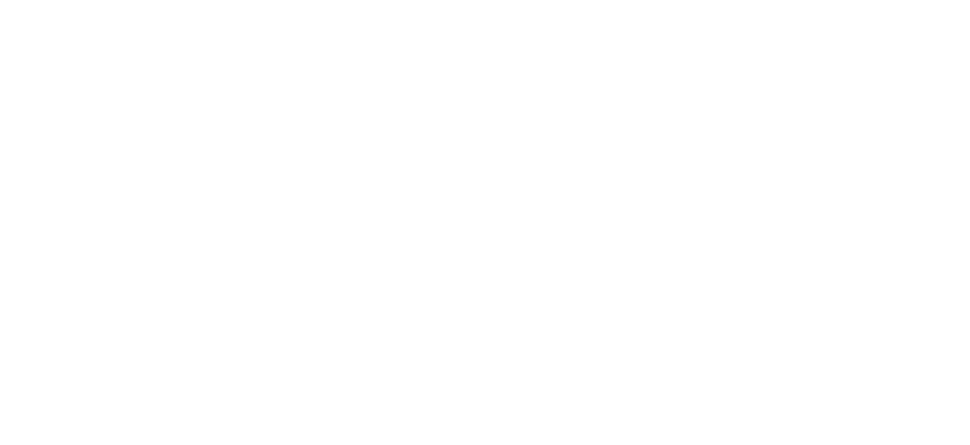 The Dirty Dawg