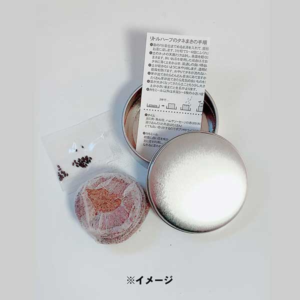 【単品】FNCY バジル栽培キット