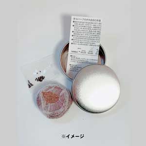 【単品】FNCY バジル栽培キット