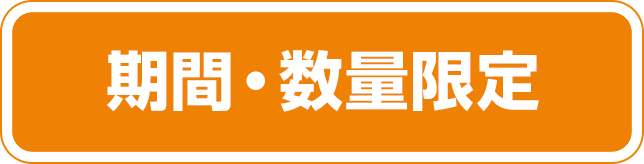 期間・数量限定