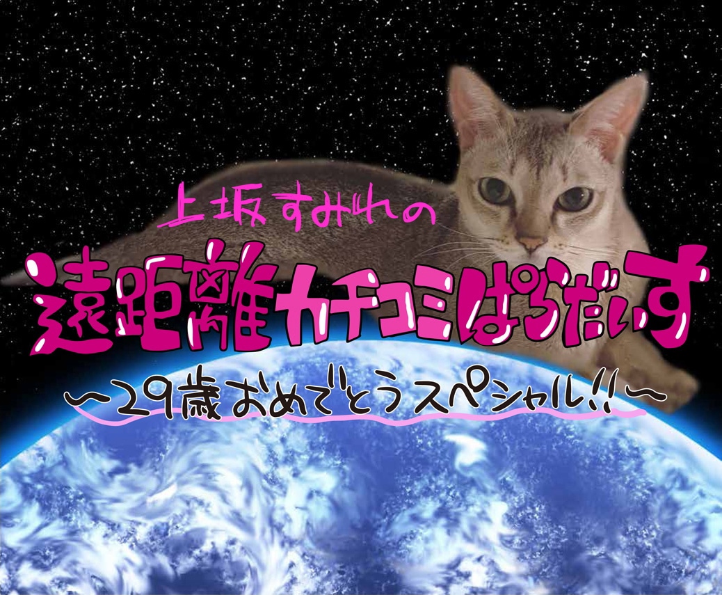 上坂すみれの遠距離カチコミぱらだいす～29歳おめでとうスペシャル!!～マグカップ 上坂すみれの遠距離カチコミぱらだいす ～29歳おめでとうスペシャル